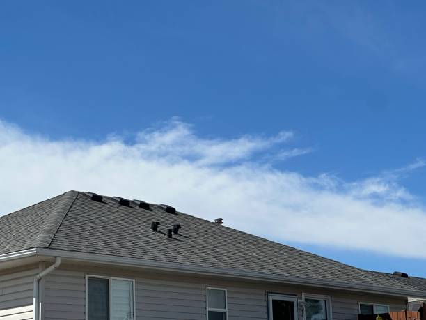 Best Roof Ventilation Installation  in USA